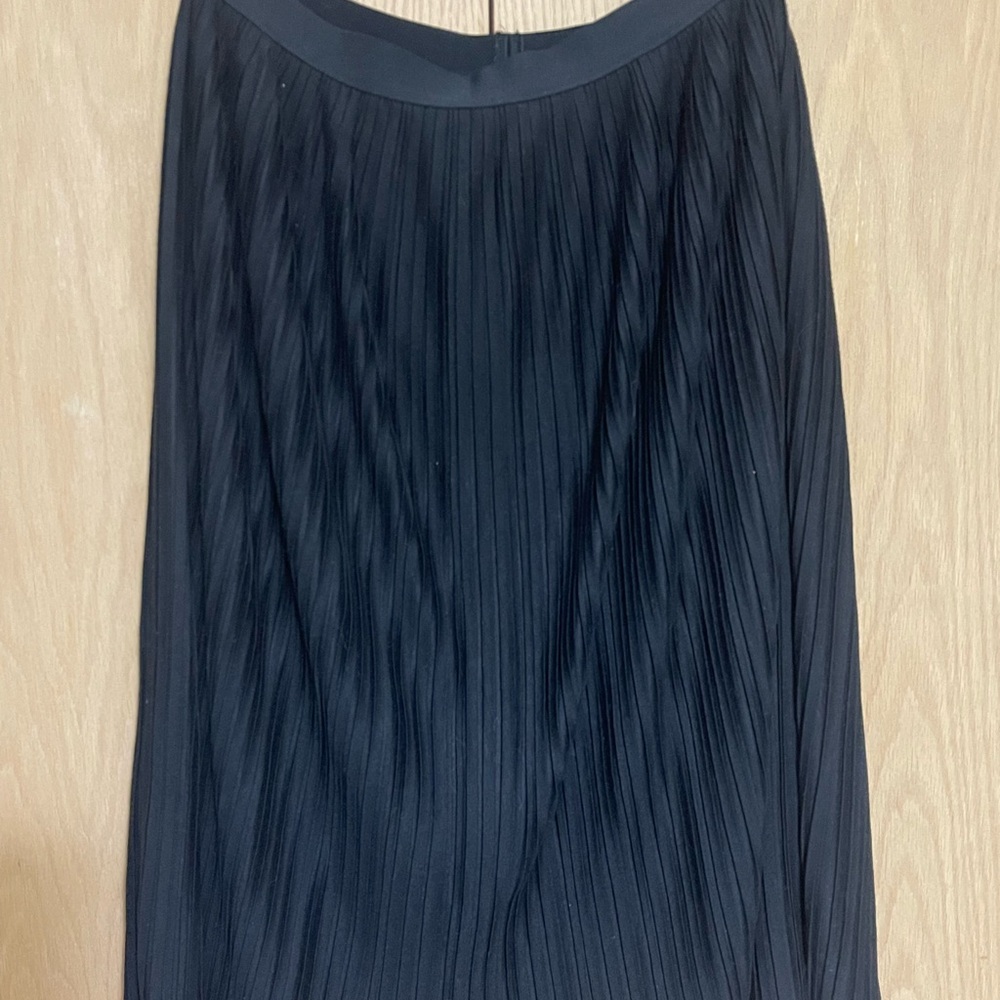Elegant Black Pleated Skirt